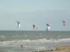  windsurfeurs